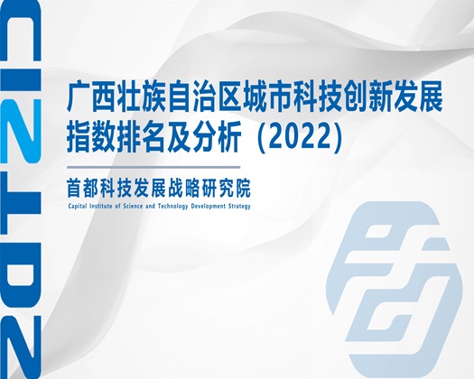 操屄视频播【成果发布】广西壮族自治区城市科技创新发展指数排名及分析（2022）